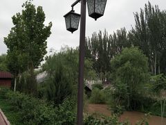 -雁滩公园