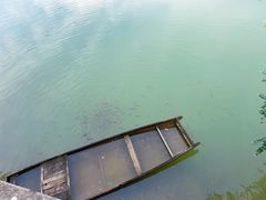 -广州白江湖森林公园