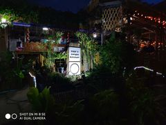-Jungle Kitchen