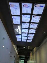 -厦门美莱整形美容医院