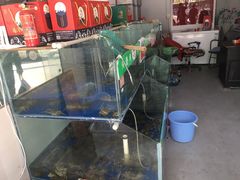 -阳澄湖大闸蟹·琼灵阁牌品牌连锁(吴中总店)