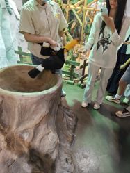 -Zoolung Zoolung动物主题公园(海信广场店)
