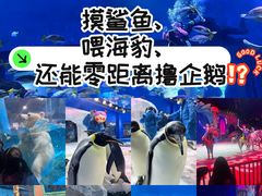 -海合安武汉极地海洋公园