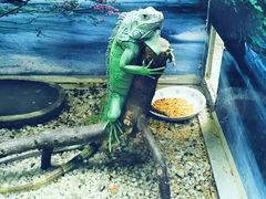 石家庄动物园-石家庄市动物园