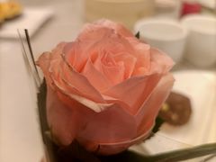 -金鼎轩(方庄店)