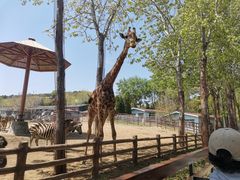 -大连森林动物园