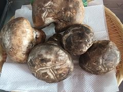 -万杰老灶火锅·20年老品牌(大丰店)