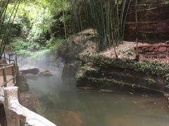 -川西竹海景区