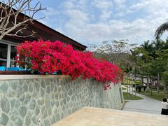 -石梅湾艾美度假酒店