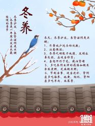 -章光101防脱养发荟