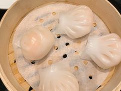 虾饺王-高第街56号港式餐厅·精选(世茂广场宽厚里大明湖店)