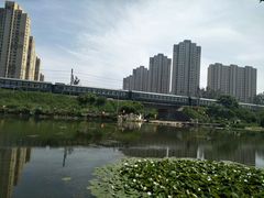 -前关湿地公园