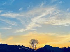 -黄埔油麻山森林公园