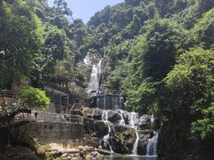 -鼎湖山风景区