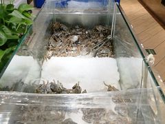 -欢乐牧场海鲜烤肉自助(牡丹园店)