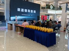 -红星美凯龙北京至尊MALL(东四环中路店)
