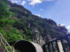 -牛背梁国家森林公园