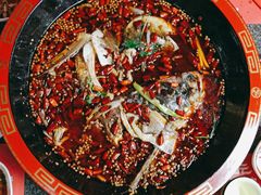 -渔香岛美蛙鱼头火锅(威清路店)
