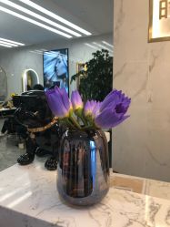 -时尚玩家发型设计