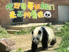 -苏州太湖国家湿地公园