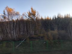 -塞罕坝国家级自然保护区