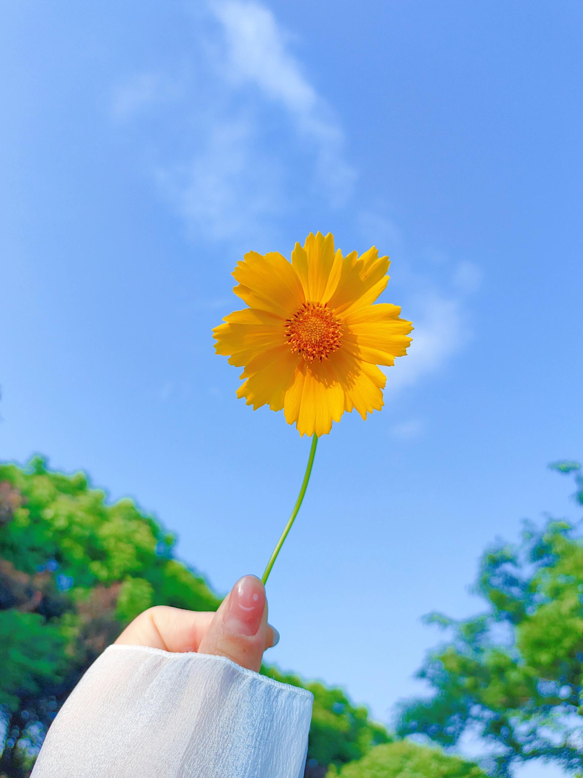 但请别忘了给自己留一点时间和空间去感受生活的美好