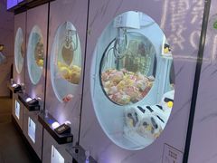 -奈雪的茶(赛格店)
