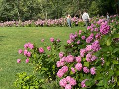 -上海滨江森林公园