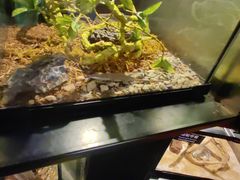 -太平洋海底世界