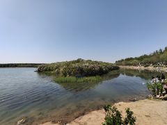 -丁香湖公园