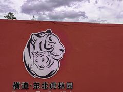 -横道河子东北虎林园