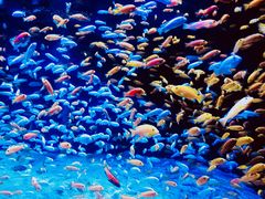 -成都浩海立方海洋公园