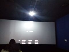 -幸福蓝海国际影城(上海三林店)