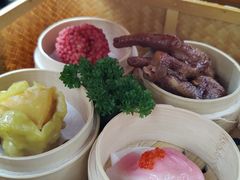 -广州都市观光巴士(粤陶巴)