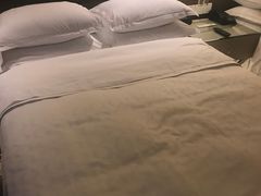 -芽庄喜来登水疗酒店