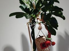 -本無咖啡·BeanWood Coffee