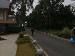 -三圣花乡旅游区