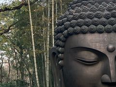 -杭州植物园