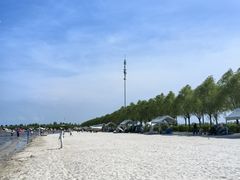 -呼兰河口湿地公园