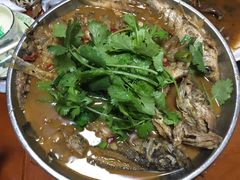 -全乐鱼馆·淳牌有机鱼直营店