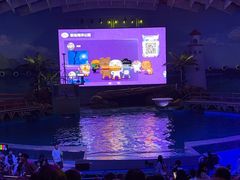 -海合安武汉极地海洋公园