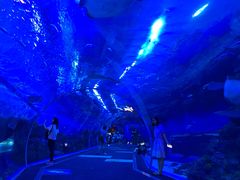 -成都浩海立方海洋公园