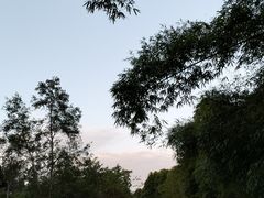 -唐崖土司城遗址