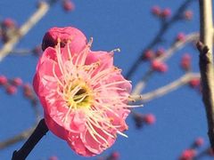 -林屋洞景区