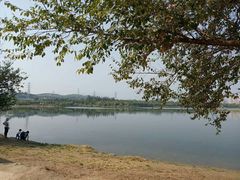 -永定河休闲森林公园