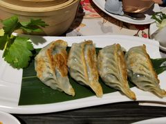 传统韭菜饺-虾饺妹·粤式手工点心(水荫路店)
