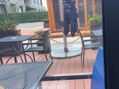 -blue frog蓝蛙(长泰广场店)