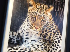 -罗红摄影艺术馆