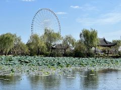 -无锡蠡湖国家湿地公园-蠡园