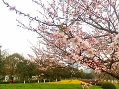 -白塘生态植物园